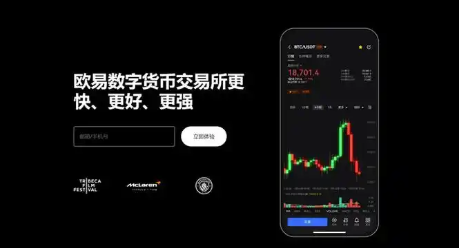 多链钱包下载安装页面展示